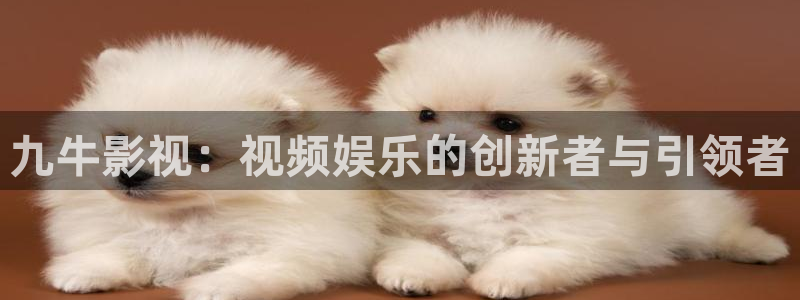 青柠影院免费观看高清：九牛影视：视频娱乐的创新者与引领者