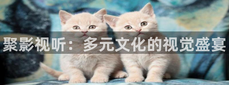 青柠网影视：聚影视听：多元文化的视觉盛宴