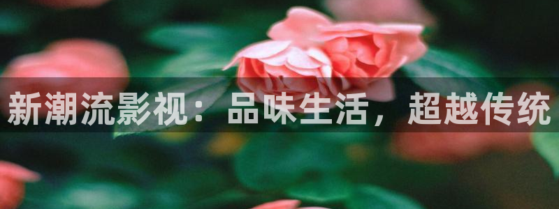 青柠影视电视剧：新潮流影视：品味生活，超越传统