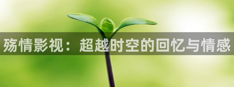 青柠影院免费观看高清hd：殇情影视：超越时空的回忆与情感