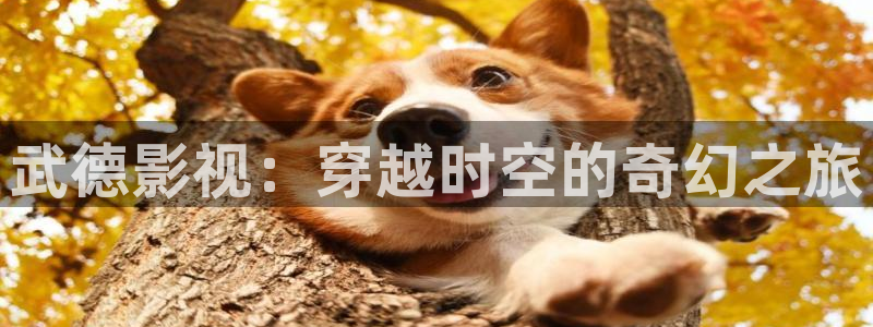 青柠影院免费高清电视剧动漫在线观看