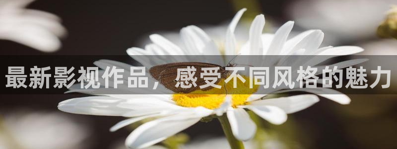 青柠影视高清